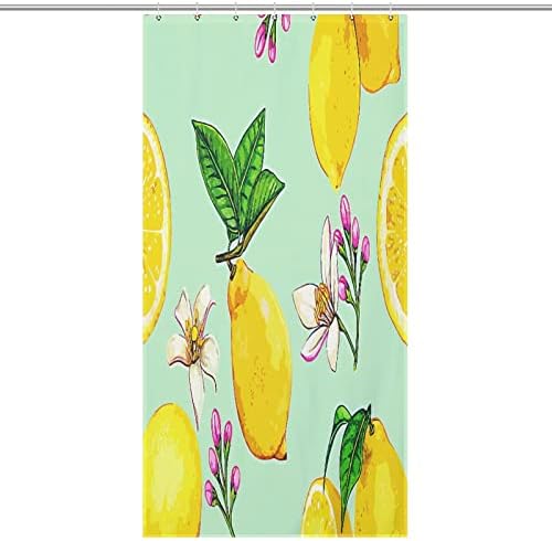 Sweet Natural Food Shower Curtain 36x72 Inch