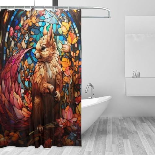 DAOWANGZUO Squirrel Shower Curtain Set with 12 Hooks 72x72in