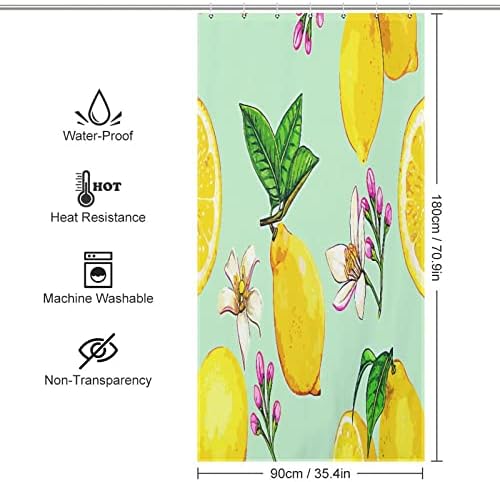 Sweet Natural Food Shower Curtain 36x72 Inch