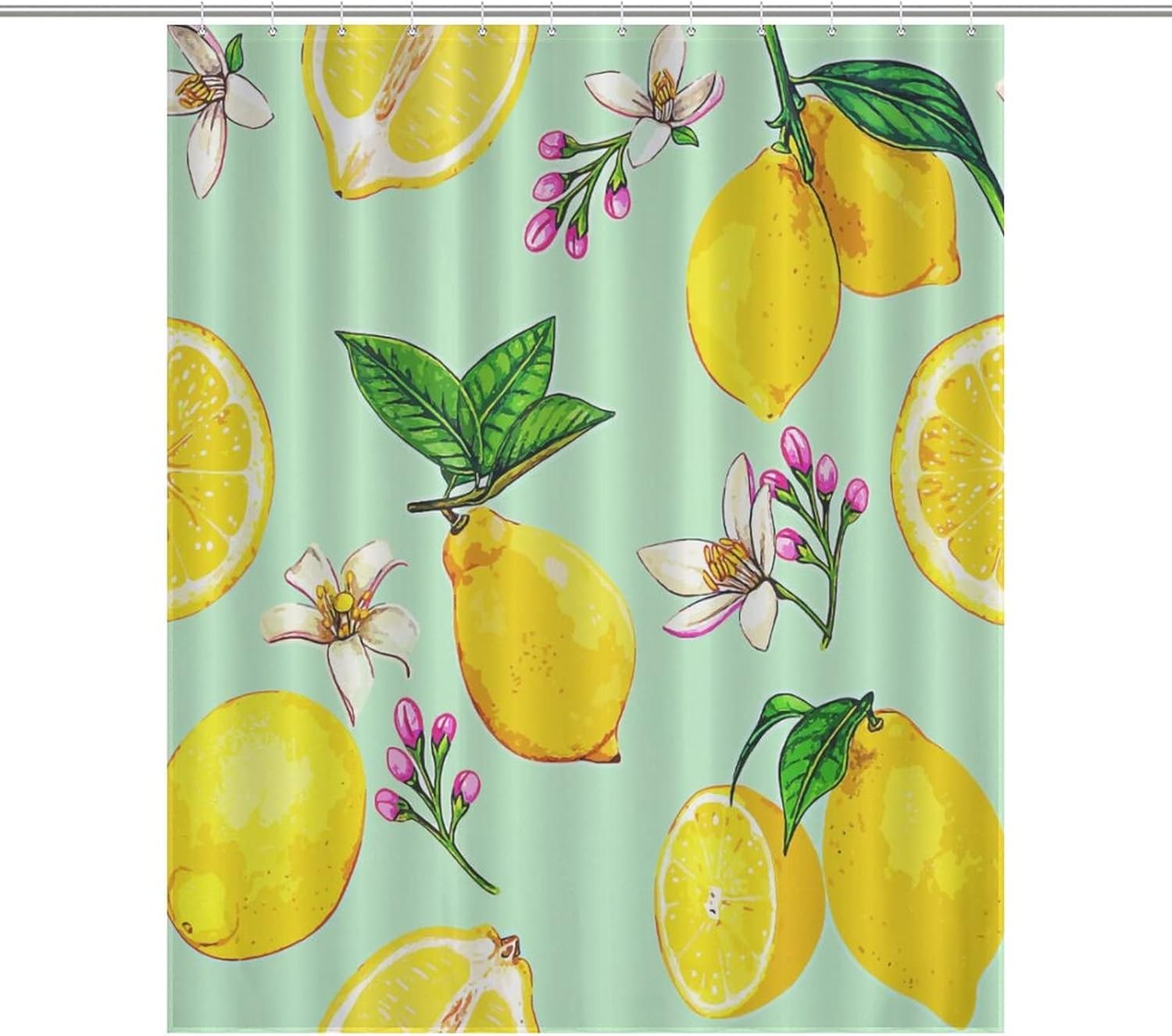 Sweet Natural Food Shower Curtain with 12 Hooks 60x72 Inch
